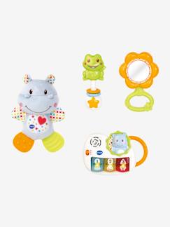 Jouet-Coffret naissance Eveil des sens VTECH