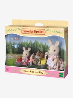 Jouet-Jeux d'imagination-5040 - Tricycle et mini voiture SYLVANIAN FAMILIES