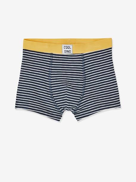 Lot de 5 boxers stretch garçon Dino LOT 5 5 - vertbaudet enfant 