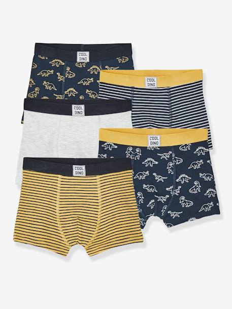 Prêt à porter-Garçon-Sous-vêtement-Slip, Boxer-Lot de 5 boxers stretch garçon Dino