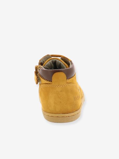 Bottillons garçon Tackland KICKERS® camel+kaki 5 - vertbaudet enfant 