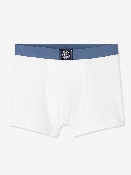 Lot de 5 boxers garçon  BASICS bleu clair 5 - vertbaudet enfant 