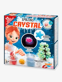 Jouet-Jeux éducatifs-Jeux scientifiques-Amazing Crystal BUKI