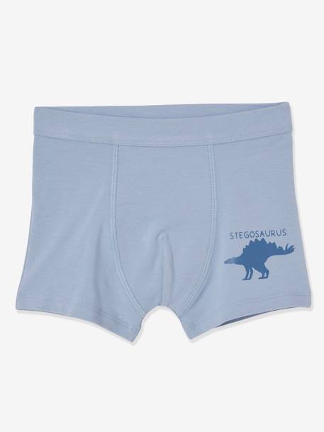 Lot de 7 boxers stretch garçon dinosaures Lot ivoire 5 - vertbaudet enfant 