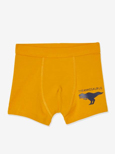 Lot de 7 boxers stretch garçon dinosaures Lot ivoire 4 - vertbaudet enfant 