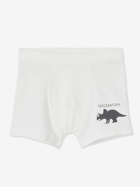 Lot de 7 boxers stretch garçon dinosaures Lot ivoire 2 - vertbaudet enfant 