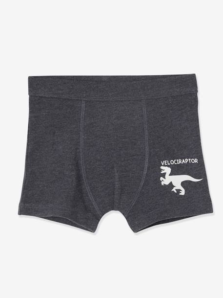 Lot de 7 boxers stretch garçon dinosaures Lot ivoire 7 - vertbaudet enfant 