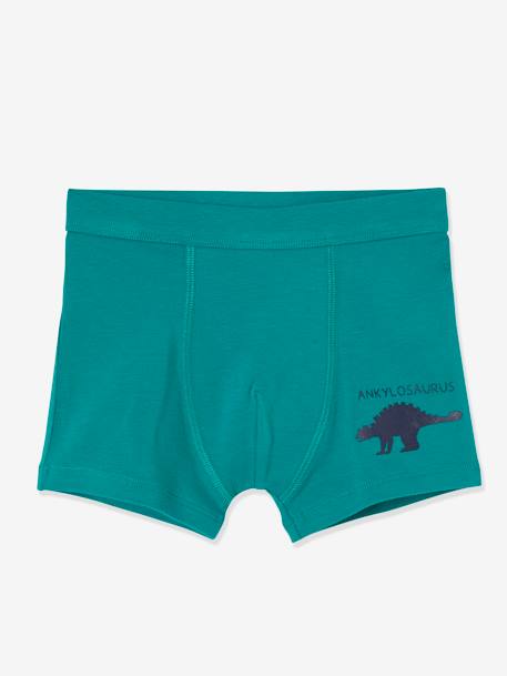 Lot de 7 boxers stretch garçon dinosaures Lot ivoire 8 - vertbaudet enfant 