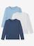 Lot de 3 T-shirts garçon manches longues BASICS Lot camaieu bleu 1 - vertbaudet enfant 