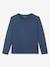 Lot de 3 T-shirts garçon manches longues BASICS Lot camaieu bleu 2 - vertbaudet enfant 