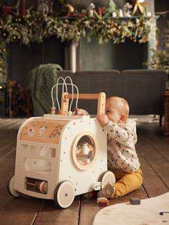 Trotteurs Et Chariots De Marche Pour Bebe Vertbaudet