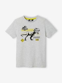 cadeaux-anniversaire-Garçon-T-shirt, polo, sous-pull-T-shirt garçon Jurassic World®