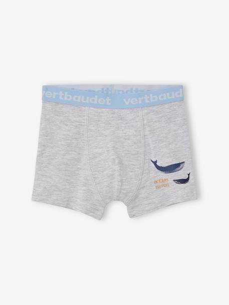 Lot de 5 boxers stretch garçon baleines Lot bleu 3 - vertbaudet enfant 