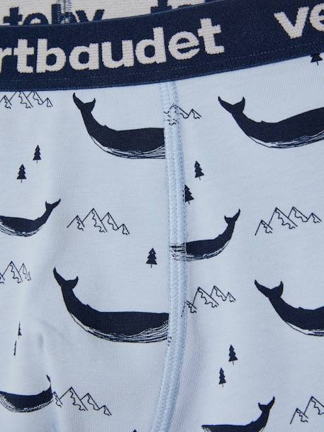 Lot de 5 boxers stretch garçon baleines Lot bleu 8 - vertbaudet enfant 