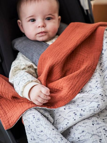 Plaid réversible pour poussette imprimé coeurs+sahara 7 - vertbaudet enfant 