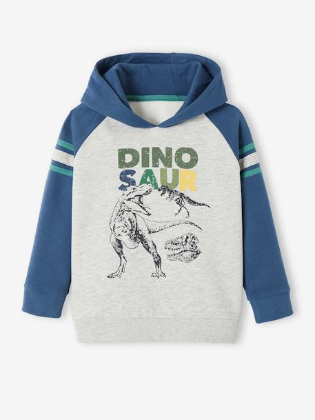 Sweat à capuche motif graphique garçon manches raglan BLEU MOYEN 1 - vertbaudet enfant 