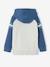 Sweat à capuche motif graphique garçon manches raglan BLEU MOYEN 2 - vertbaudet enfant 