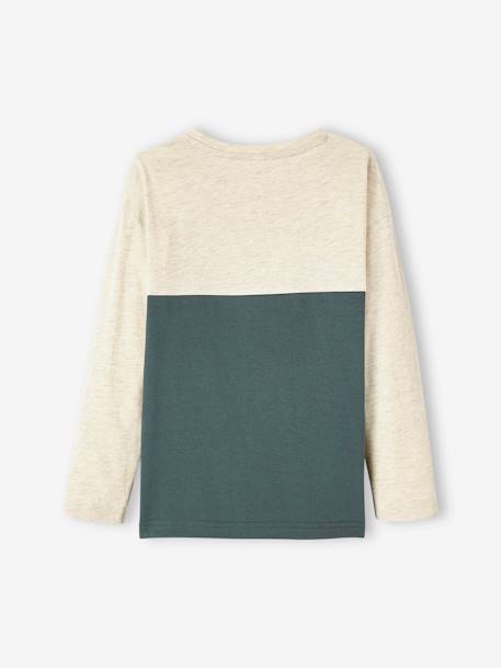 Tee-shirt colorblock garçon VERT 2 - vertbaudet enfant 