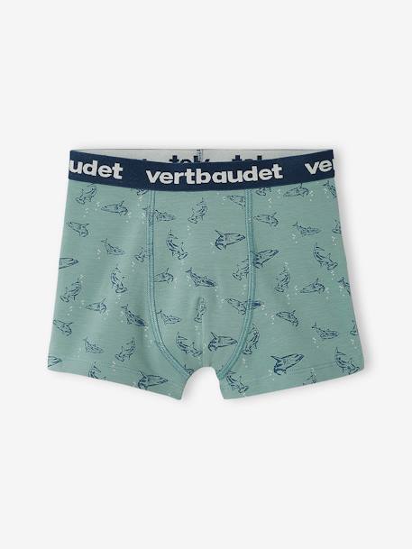 Lot de 5 boxers stretch 'requins' garçon Lot bleu 3 - vertbaudet enfant 