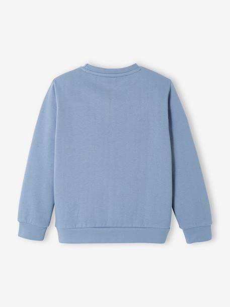 Sweat garçon Pat Patrouille® Bleu gris 2 - vertbaudet enfant 