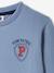 Sweat garçon Pat Patrouille® Bleu gris 3 - vertbaudet enfant 