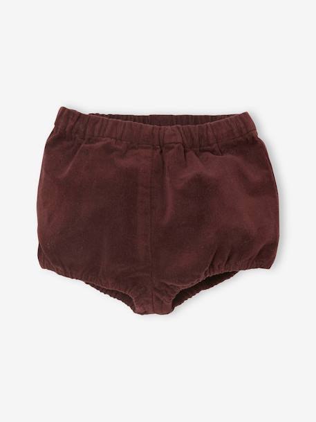 Lot de 2 bloomers bébé fille en velours Bordeaux/Beige AOP 3 - vertbaudet enfant 