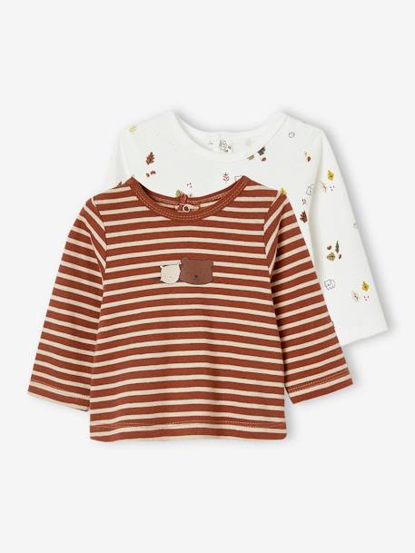 Lot de 2 T-shirts bébé manches longues noisette 1 - vertbaudet enfant 