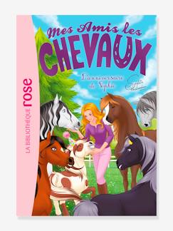 Jouet-Livres-Mes amis les chevaux - t.35 - L'anniversaire de Sophie - HACHETTE