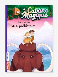 Jouet-Livres-Livres d'activités et de jeux-La cabane magique - t.6 - Le sorcier de la préhistoire - BAYARD JEUNESSE