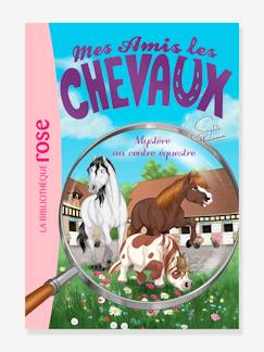 Jouet-Livres-Livres d'activités et de jeux-Mes amis les chevaux - t.12 - Mystère au centre équestre - HACHETTE