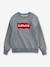 Sweat garçon Batwing Crewneck de Levi's® gris 1 - vertbaudet enfant 