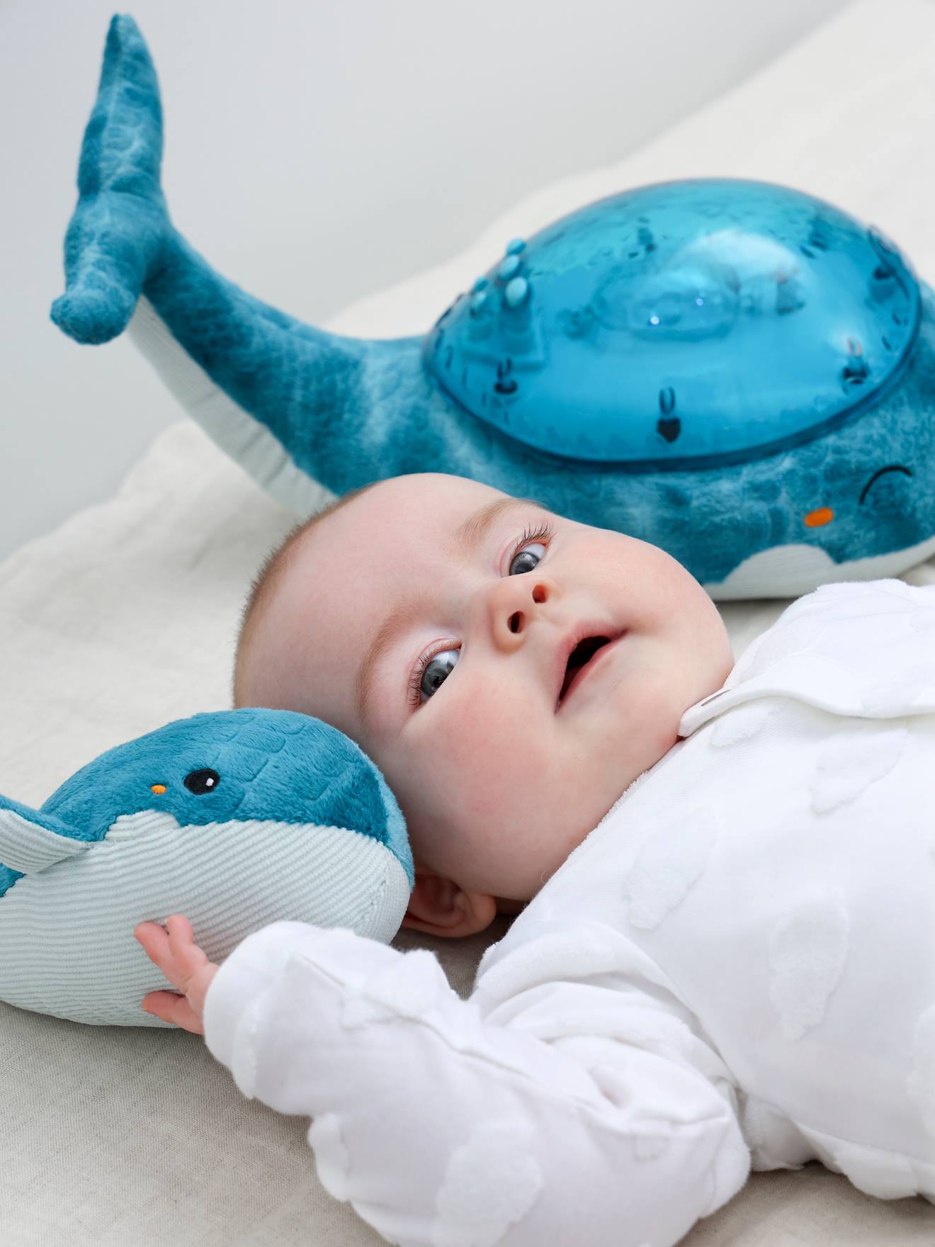 Tranquil Whale™ CLOUD B Blue Family - Cloud B