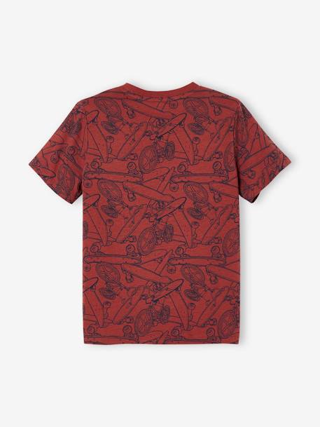 T-shirt motifs graphiques garçon manches courtes anthracite+blanc chiné+cannelle+lichen+noix de pécan+terracotta 18 - vertbaudet enfant 