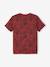 T-shirt motifs graphiques garçon manches courtes anthracite+blanc chiné+cannelle+lichen+noix de pécan+terracotta 18 - vertbaudet enfant 