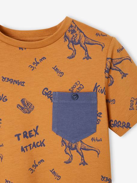 T-shirt motifs graphiques garçon manches courtes anthracite+blanc chiné+cannelle+lichen+noix de pécan+terracotta 9 - vertbaudet enfant 