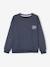 Sweat couleur motif poitrine Basics garçon bleu ardoise+ocre+vert 1 - vertbaudet enfant 