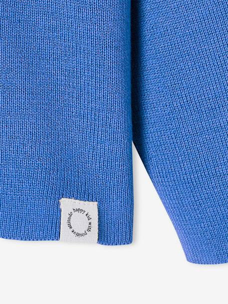 Pull à capuche garçon bleu+marine 3 - vertbaudet enfant 