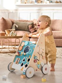 Idées cadeaux bébés et enfants-Jouet-Premier âge-Bascules, chariots de marche, trotteurs et porteurs-Chariot de marche avec freins en bois FSC®