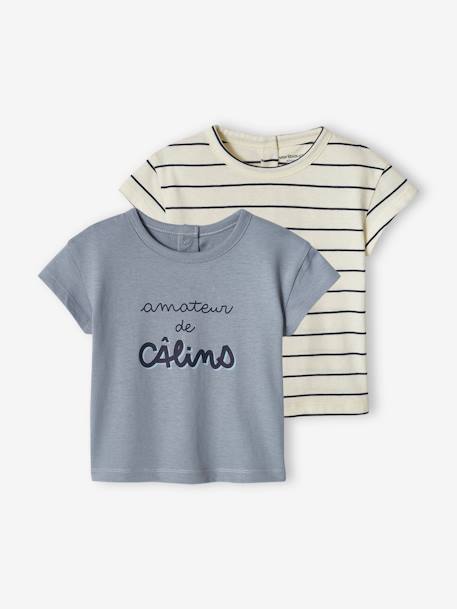 Lot de 2 T-shirts basics bébé manches courtes bleu grisé+caramel 1 - vertbaudet enfant 