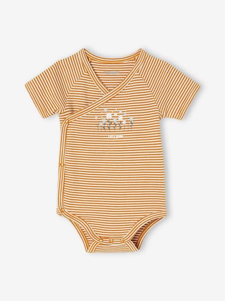 Lot de 3 bodies manches courtes bébé ouverture naissance lilas 2 - vertbaudet enfant 