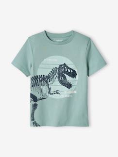 Garçon-T-shirt, polo, sous-pull-T-shirt motif dinosaure géant garçon