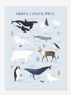 Linge de maison et décoration-Décoration-Affiche Animaux Pôle Nord/Sud Living Earth LILIPINSO