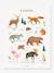 Affiche Animaux d'Europe Living Earth LILIPINSO marron 1 - vertbaudet enfant 