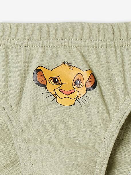 Lot de 5 slips garçon Disney® Le Roi Lion VERT CLAIR IMPRIME 10 - vertbaudet enfant 