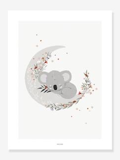 Affiche Koala Lilydale LILIPINSO  - vertbaudet enfant