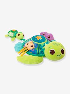 Juju, maman tortue éveil des sens - VTECH  - vertbaudet enfant