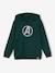 Sweat à capuche garçon Marvel® Avengers vert sapin 1 - vertbaudet enfant 