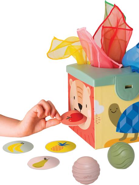 Boîte Magique - TAF TOYS multicolore 3 - vertbaudet enfant 