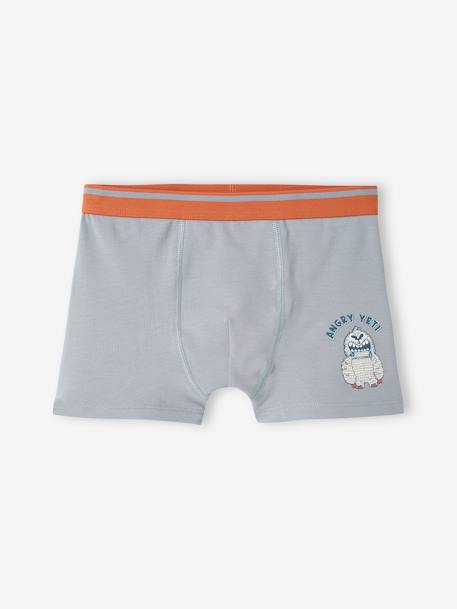 Lot de 5 boxers stretch Yéti garçon bleu grisé 2 - vertbaudet enfant 