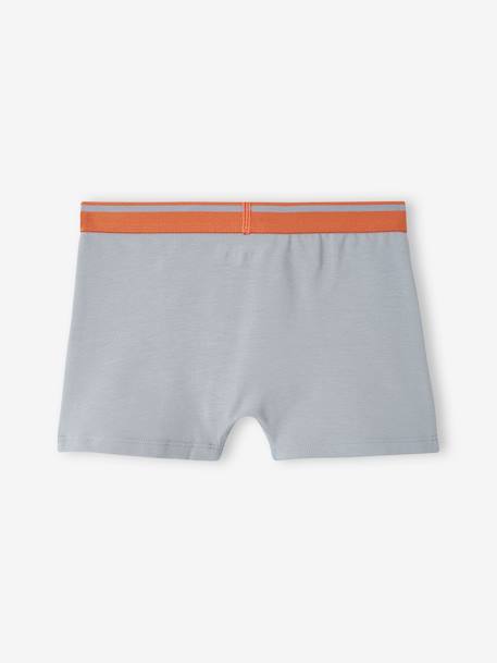 Lot de 5 boxers stretch Yéti garçon bleu grisé 7 - vertbaudet enfant 